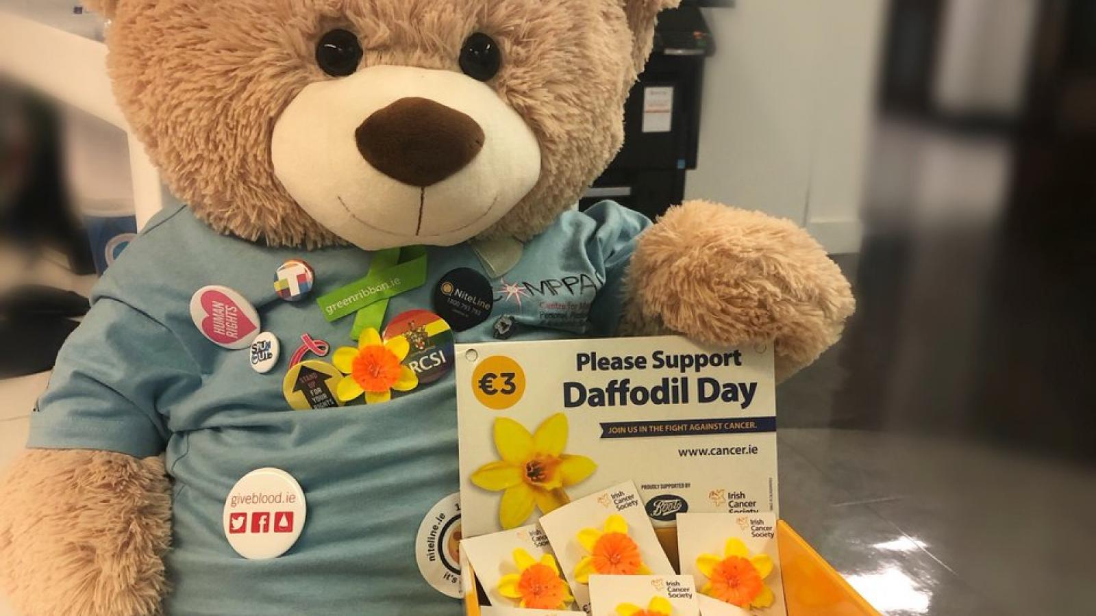 Daffodil Day teddy bear and collection box