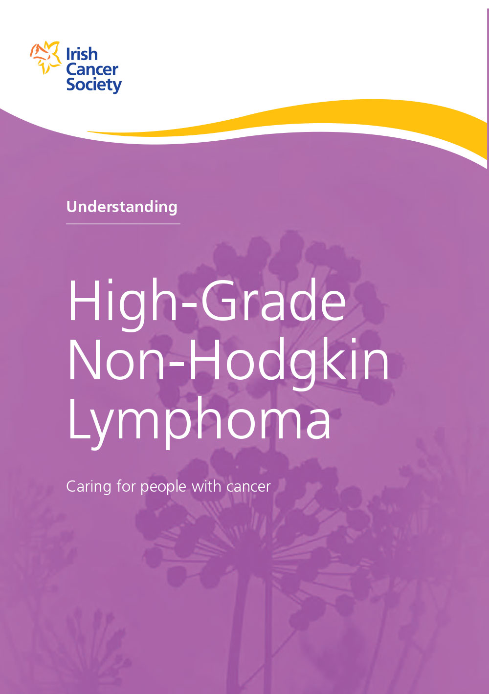 High-grade non-Hodgkin lymphoma 