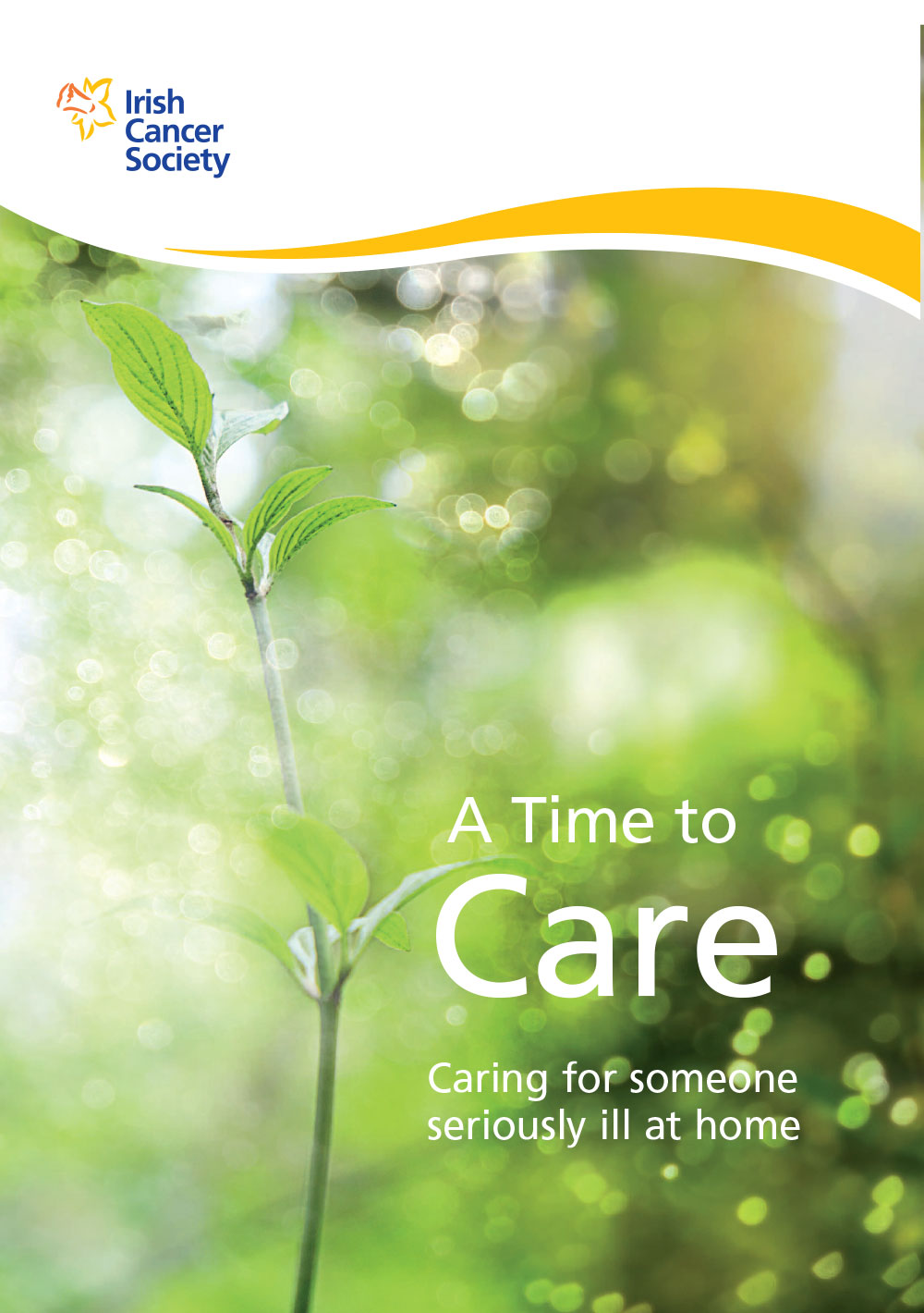 A time to care- Caring for someone seriously ill at home