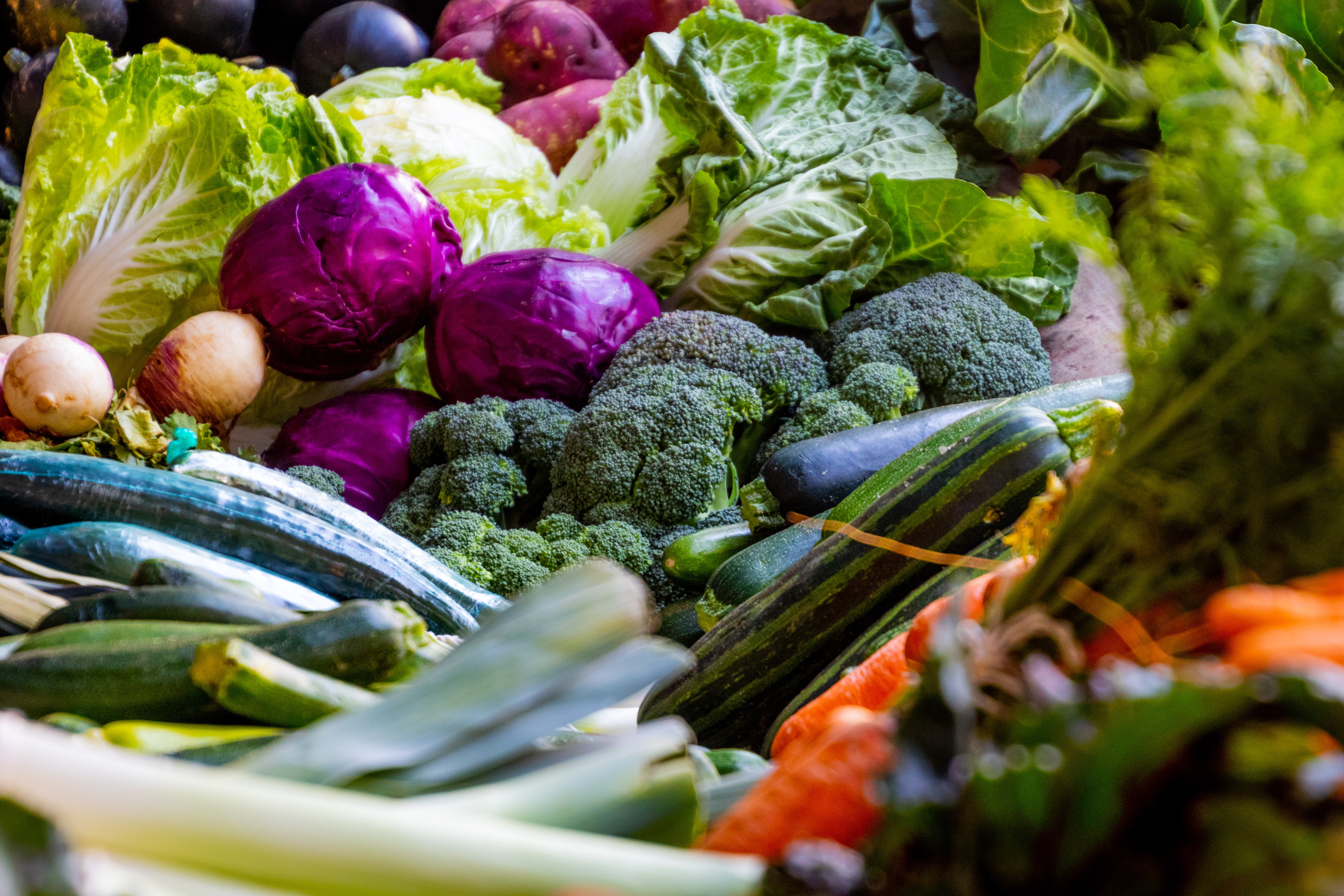 Basket of fresh vegetables