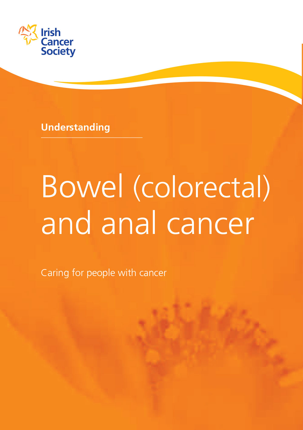 Bowel (colorectal) and anal cancer