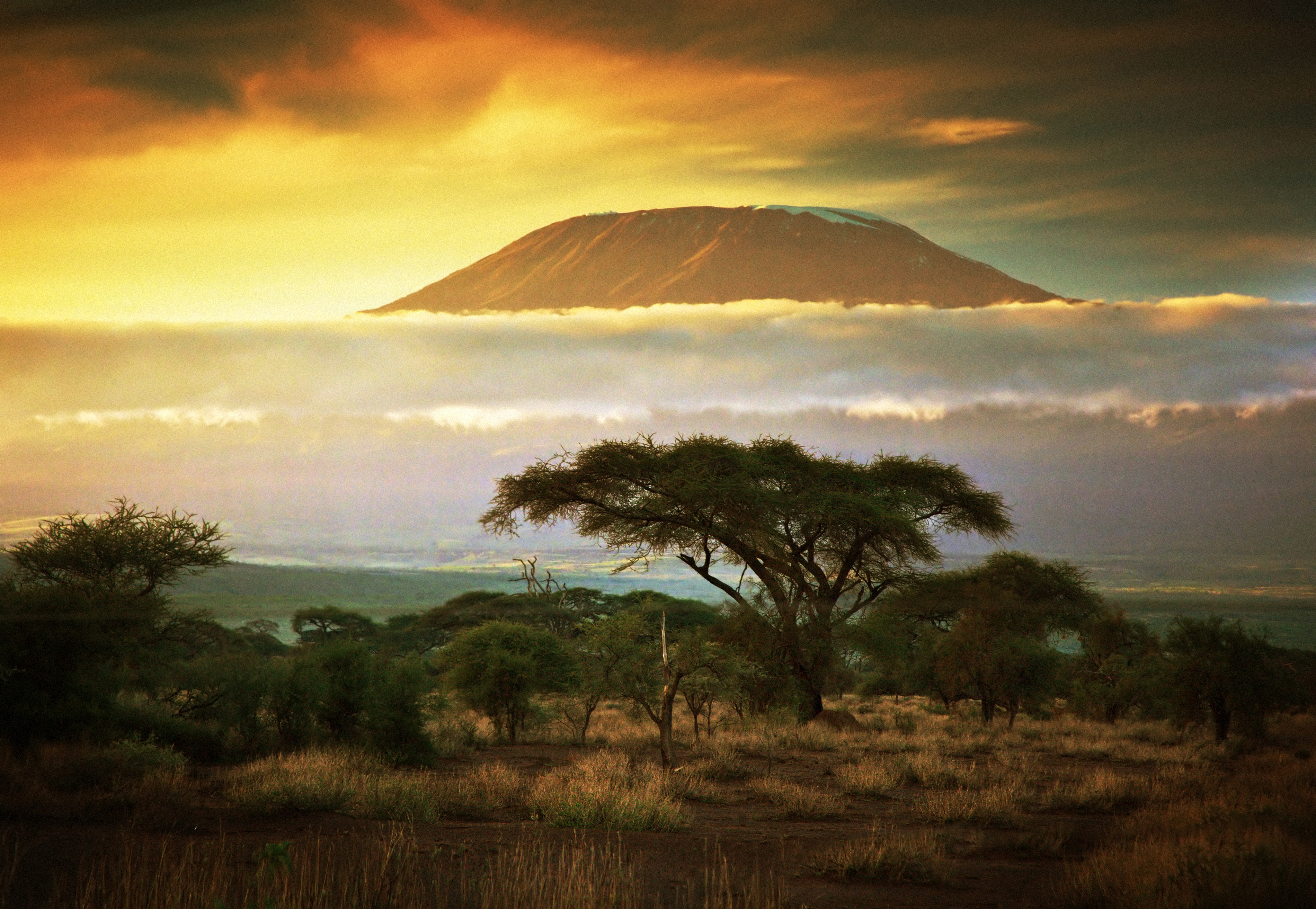 Kilimanjaro