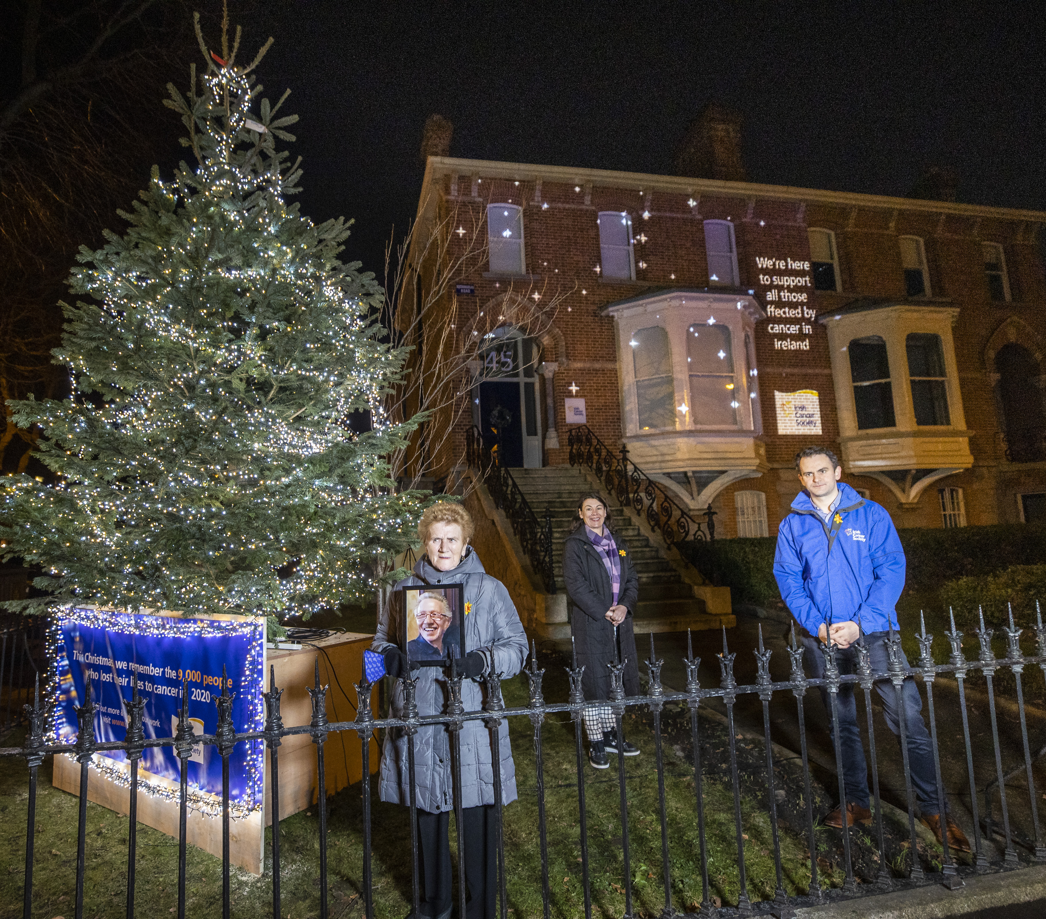 Christmas tree light up Dec 8