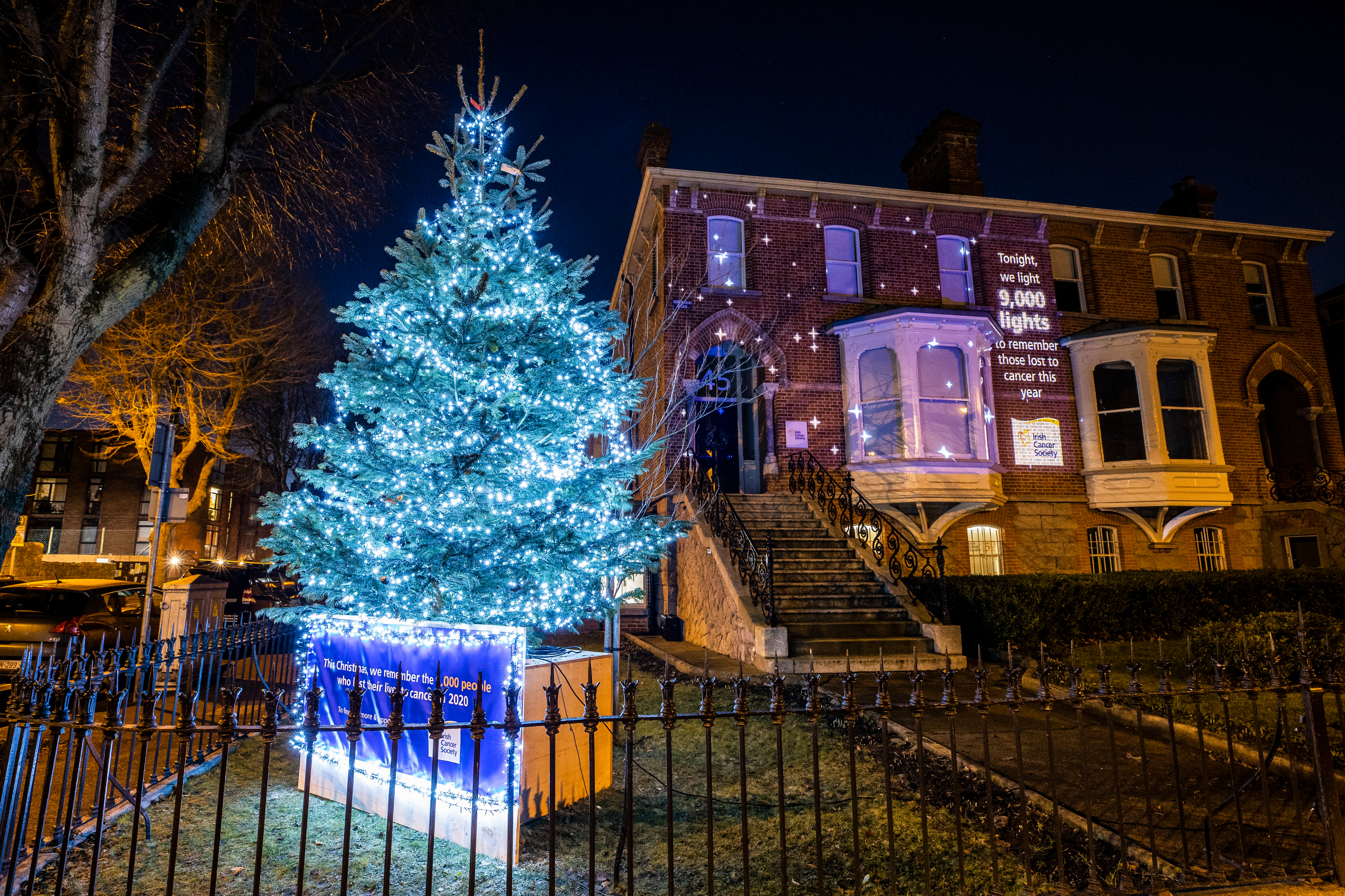 Christmas tree light up