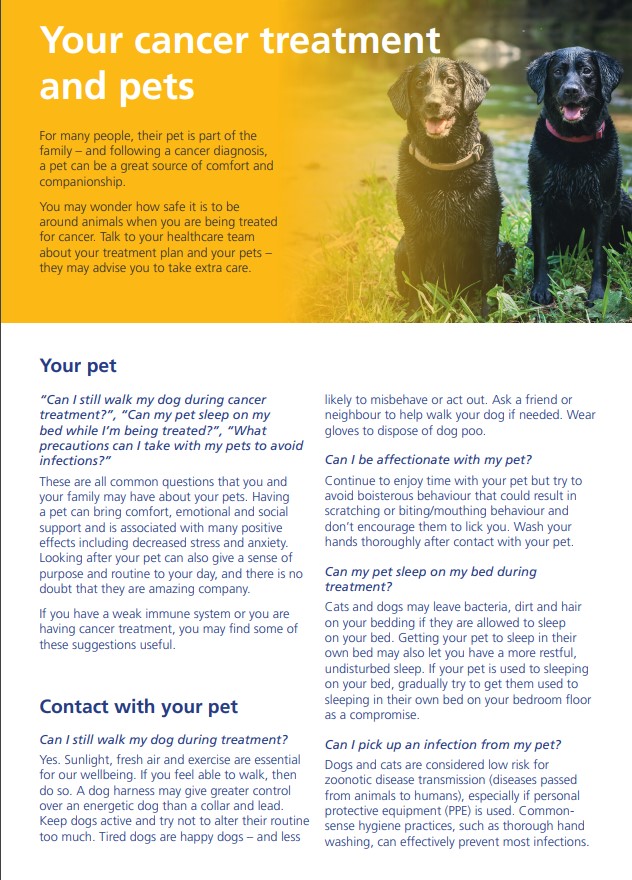 Your cancer treatment and pets