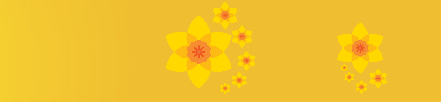 DD launch web banner