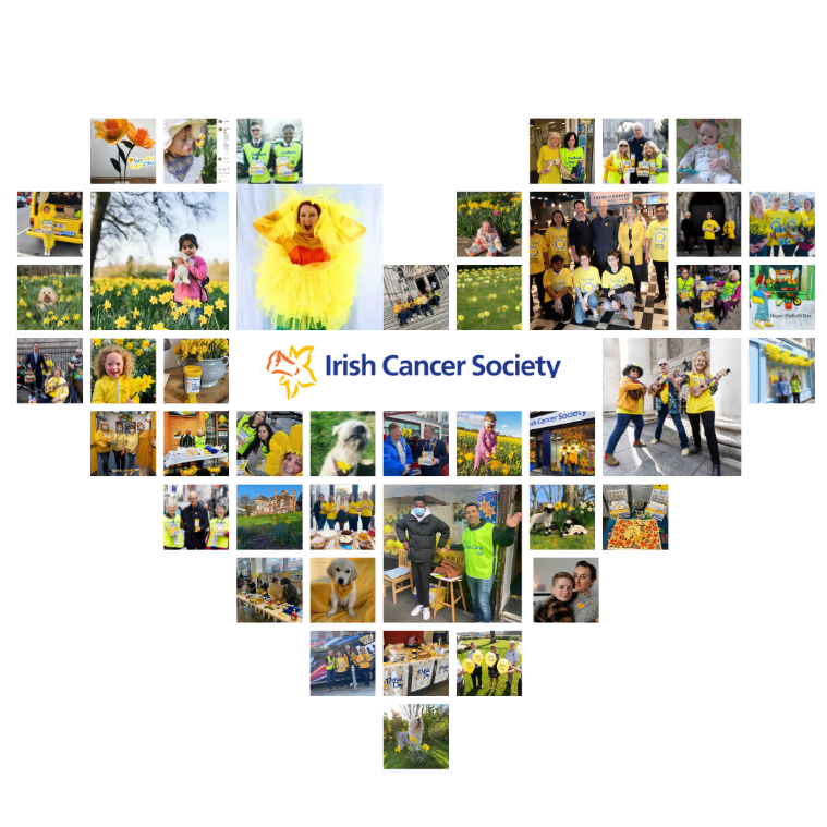 daffodil day heart