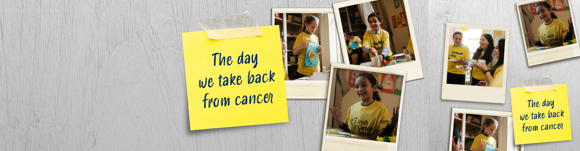 Sell Daffodil Pins in your workplace or business Irish Cancer Society