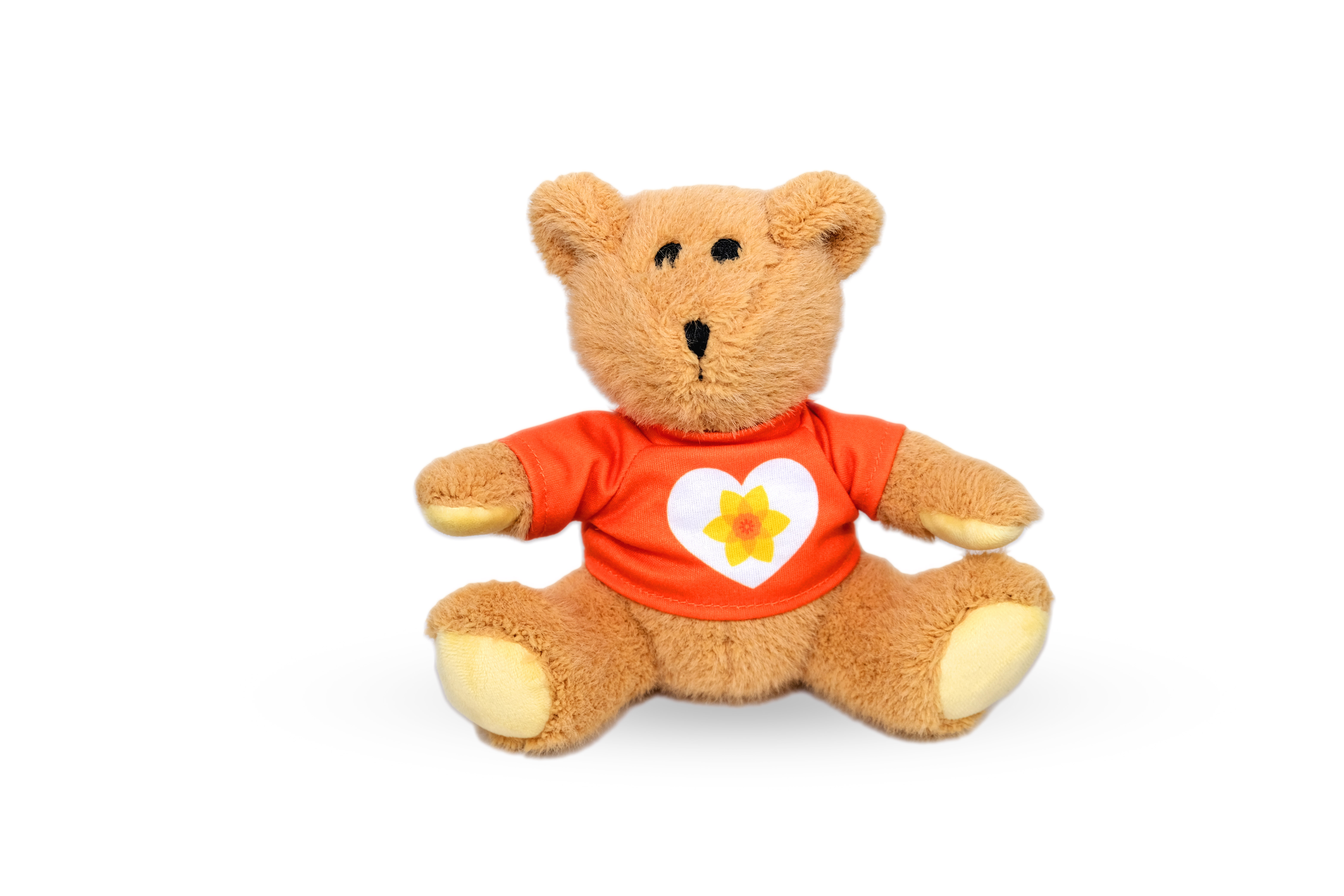 Daffodil day bear