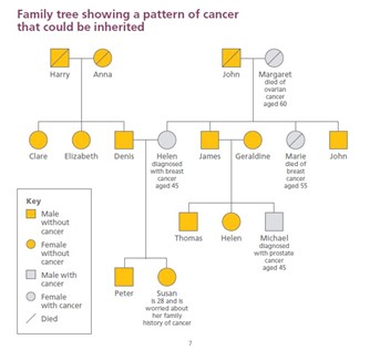 Diagram showing a family tree and how a genetic alteration in one parent can pass down through a family