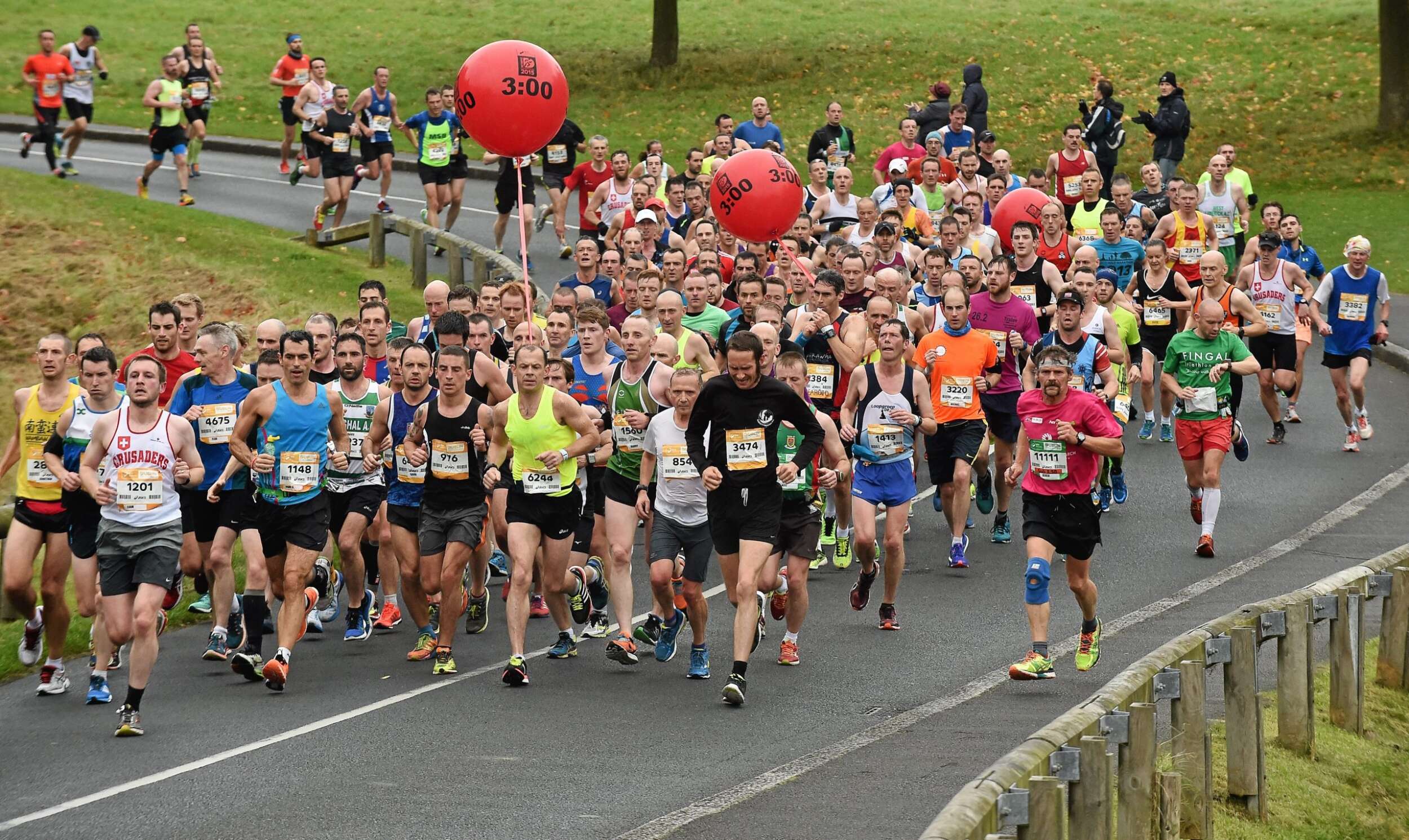 Irish Life Dublin Marathon 2024 image