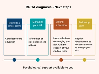 BRCA diagnosis next steps