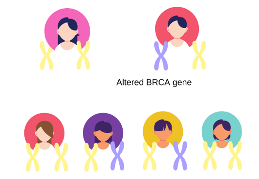 BRCA Genes mapping image