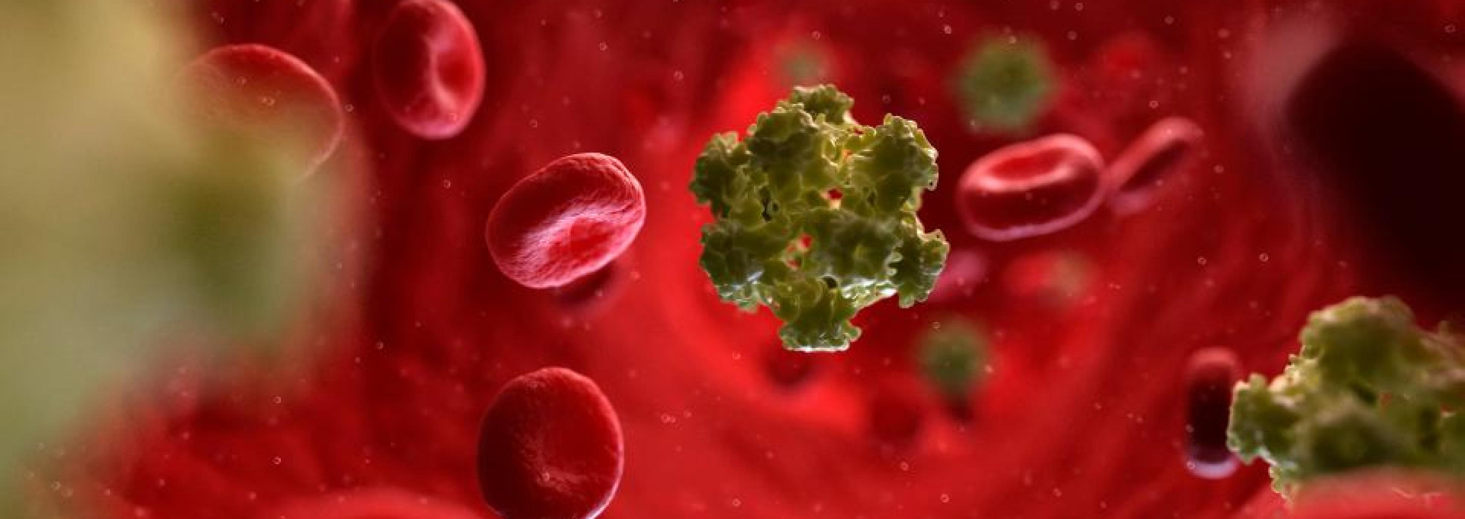 Human papilloma virus (HPV) and cancer