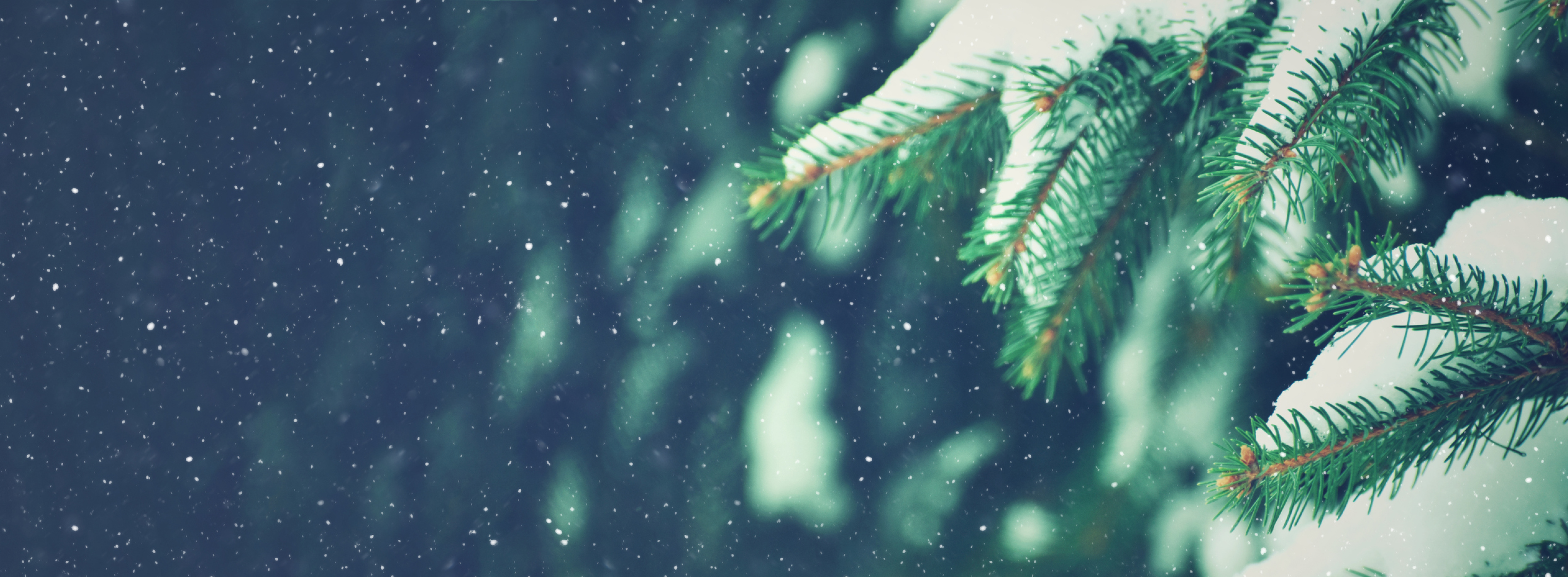 Xmas Placement image