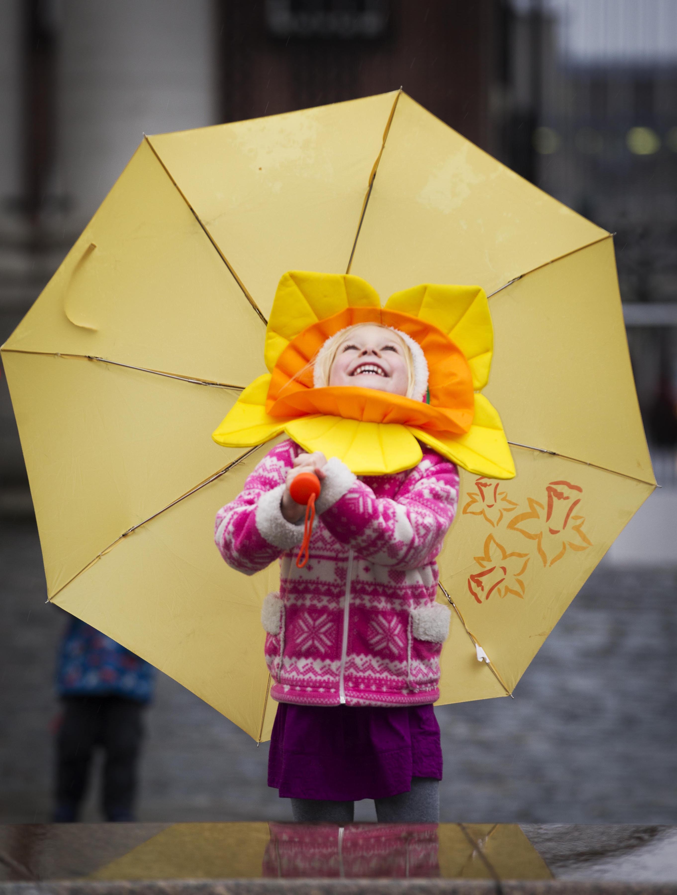 Over 200,000 people helped by the Irish Cancer Society last year 