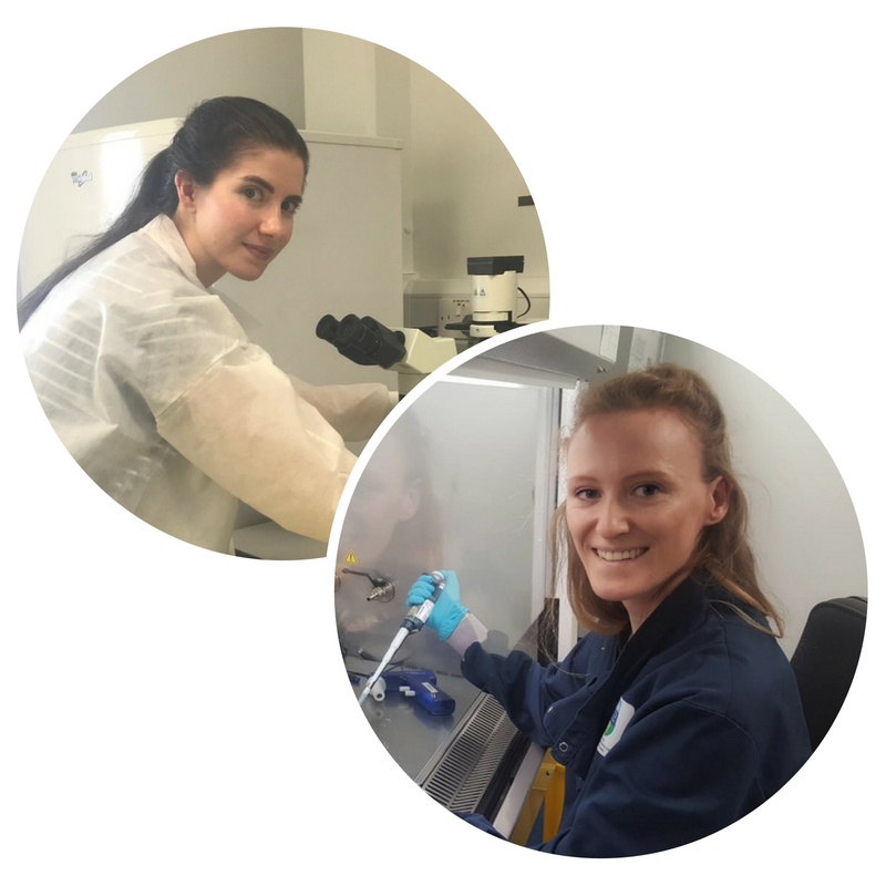 Irish Cancer Society Summer Studentships 2018