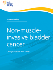 Non-muscle-invasive bladder cancer