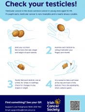 How to check your testicles