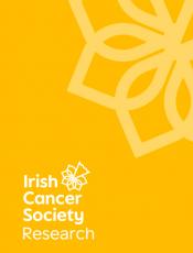 Appendix 4 Research Impact (RIF) - PhD 2026