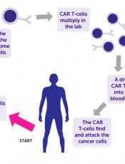 CAR T-cell patient information leaflet