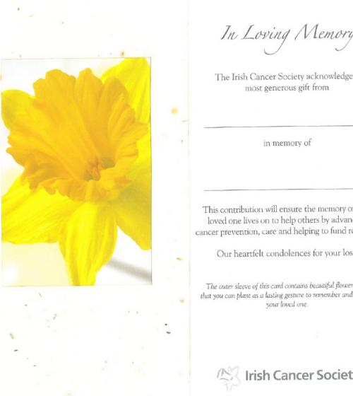 In Memory card preview