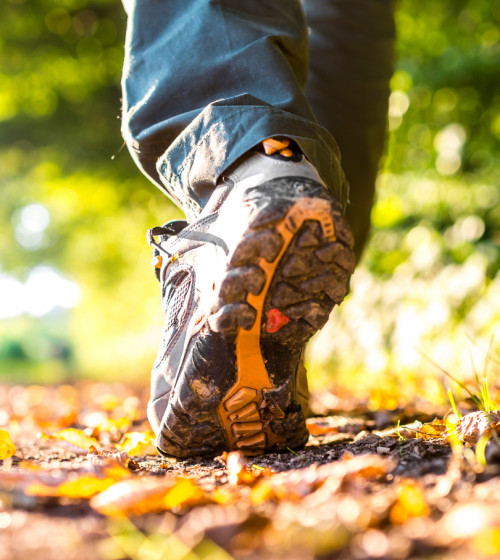 Walking in nature