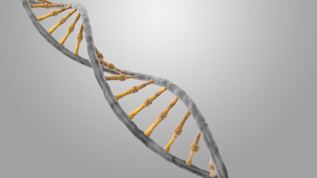 Diagram of DNA helix molecule