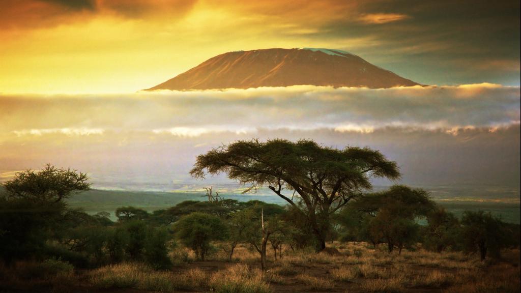 Kilimanjaro