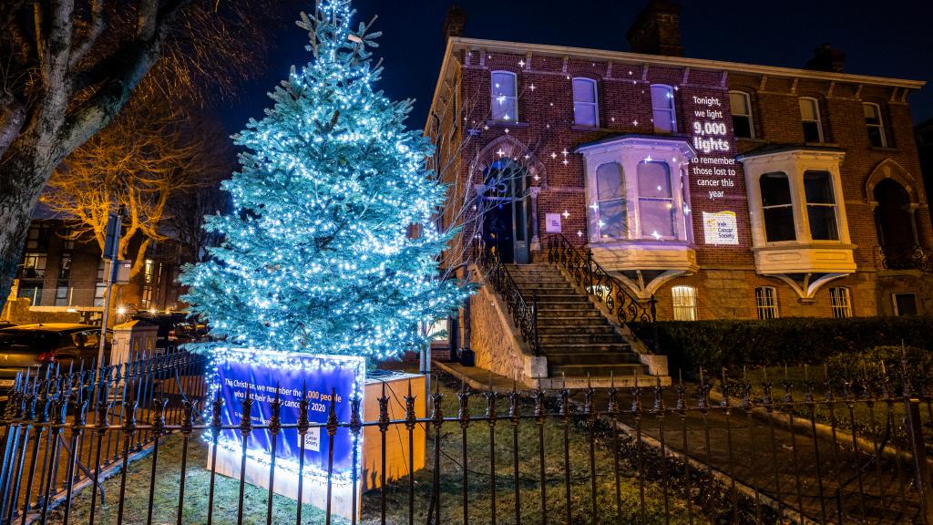 Christmas tree light up