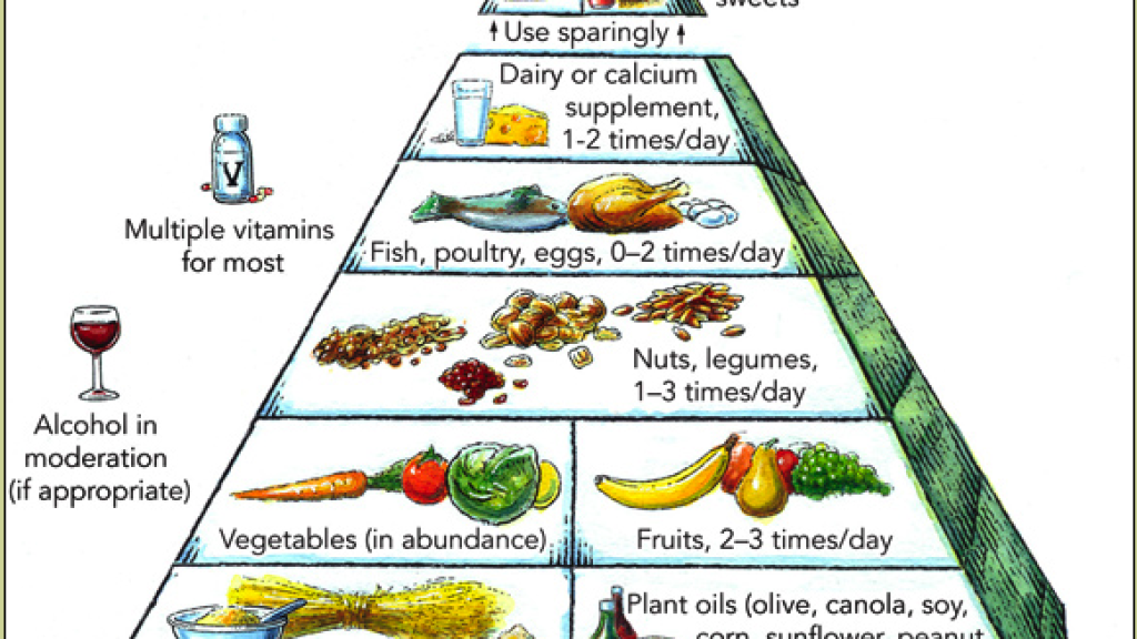 food pyramid