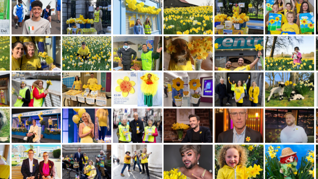 Daffodil Day 2022 - thank you banner