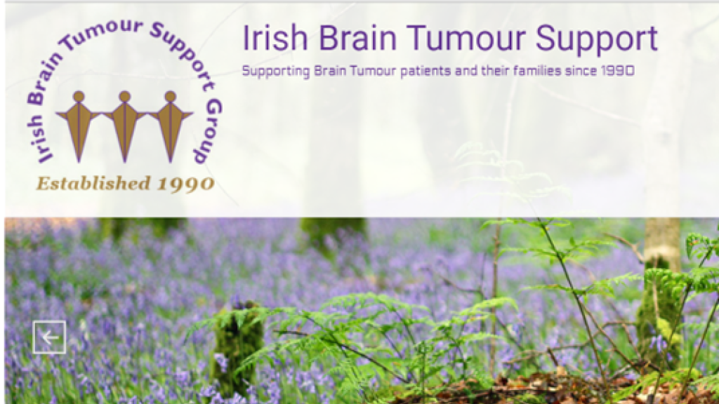 Logo of the Irish Brain Tumour Support Group