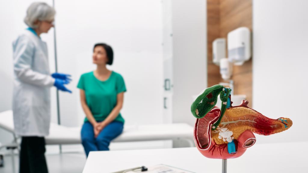 In the foreground, a model of the pancreas sits on a doctor's desk. In the background, a grey-haired female doctor speaks with a dark-haired female patient.