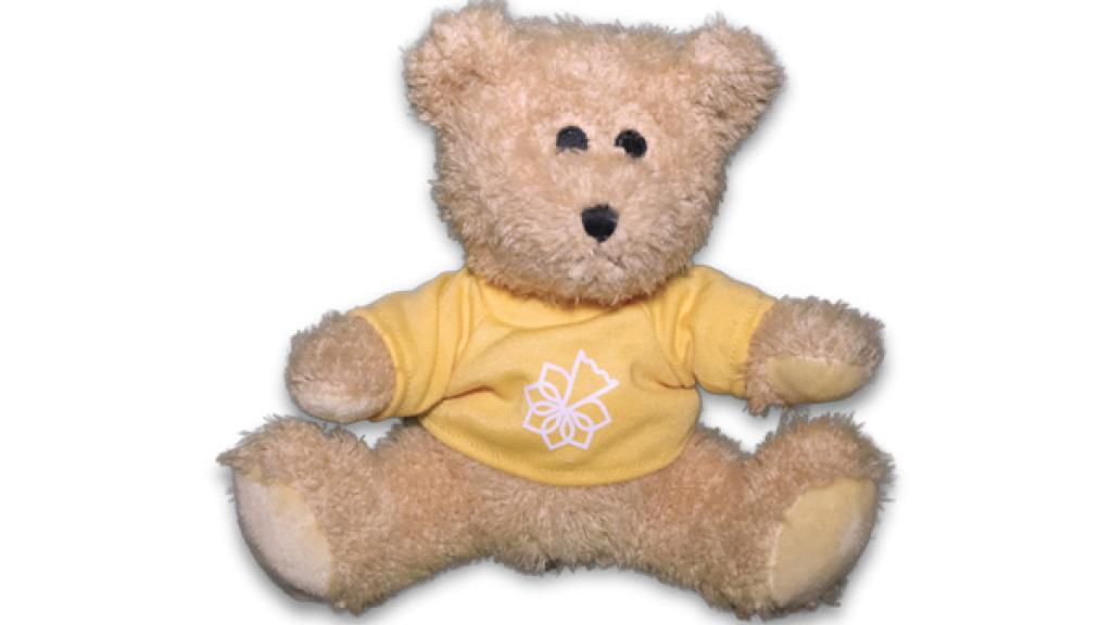 Irish Cancer Society Teddy Bear