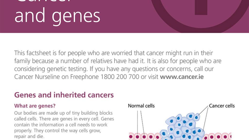 Cancer and genes fact sheet