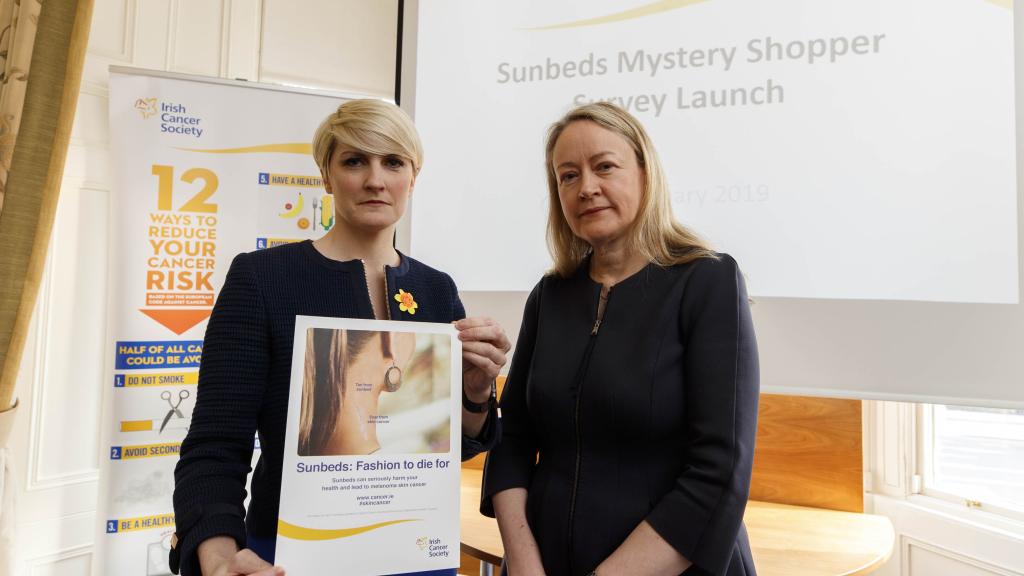 Irish Cancer Society CEO Averil Power presenting report