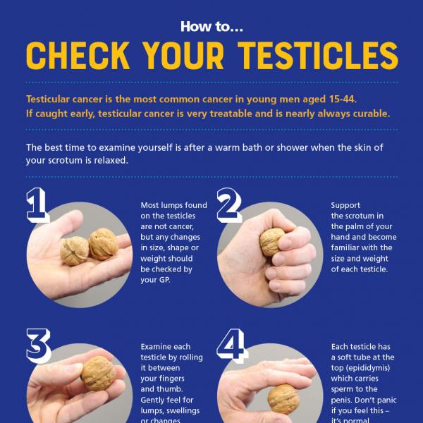 How to check your testicles poster