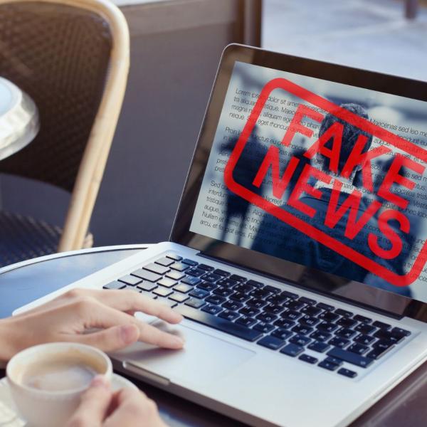Fake news website