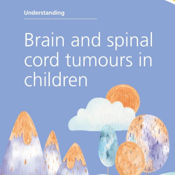 Brain and spinal cord cover