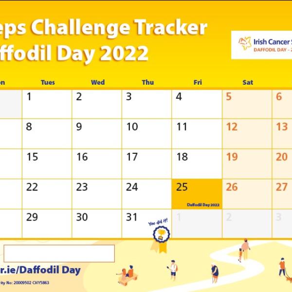 DD steps calendar