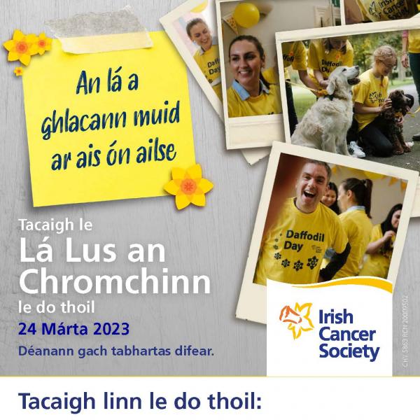 Daffodil Day Poster with Blank Box irish