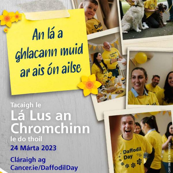 Daffodil Day Recruitment Poster irish