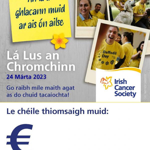 Daffodil Day Thank You Poster (Irish)