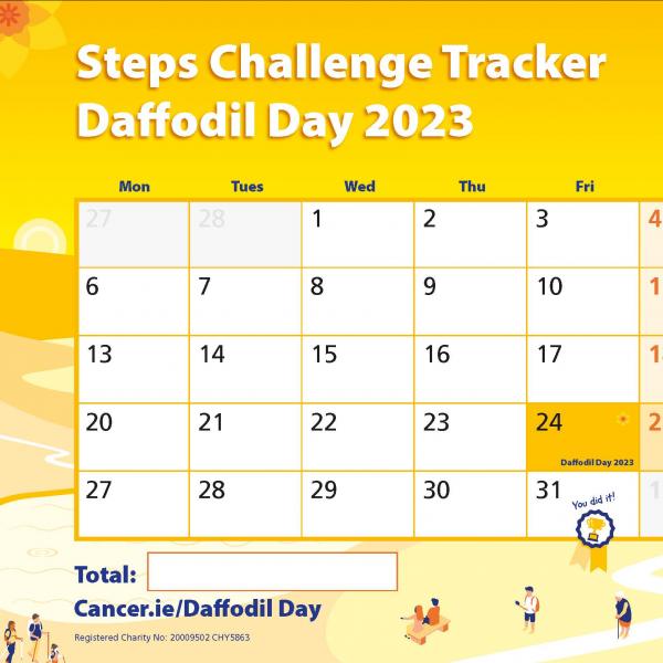 DD steps calendar