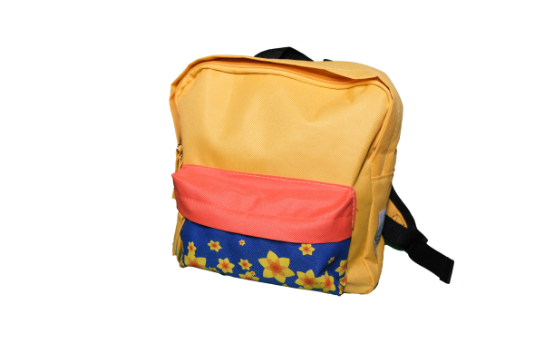 Kids Backpack 24