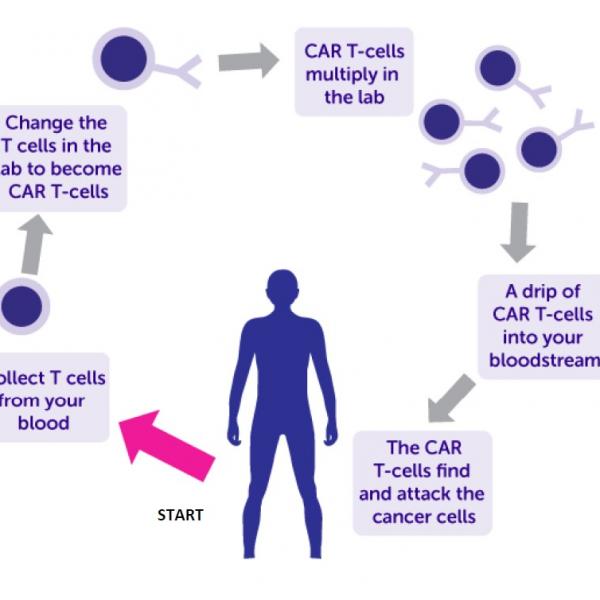 CAR T-cell patient information leaflet thumbnail