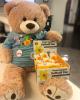 Daffodil Day teddy bear and collection box