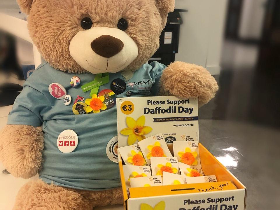 Daffodil Day teddy bear and collection box