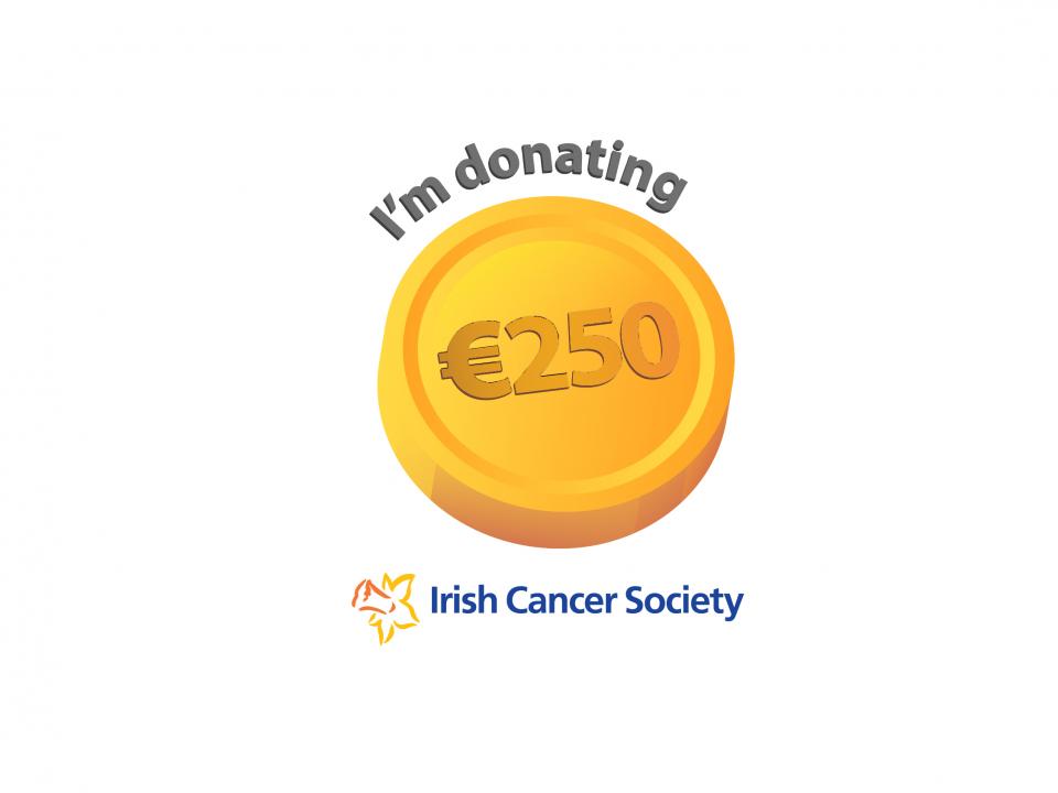 250euro donation